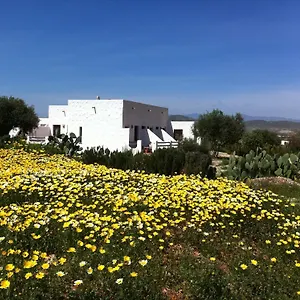Cortijo El Campillo Los Albaricoques